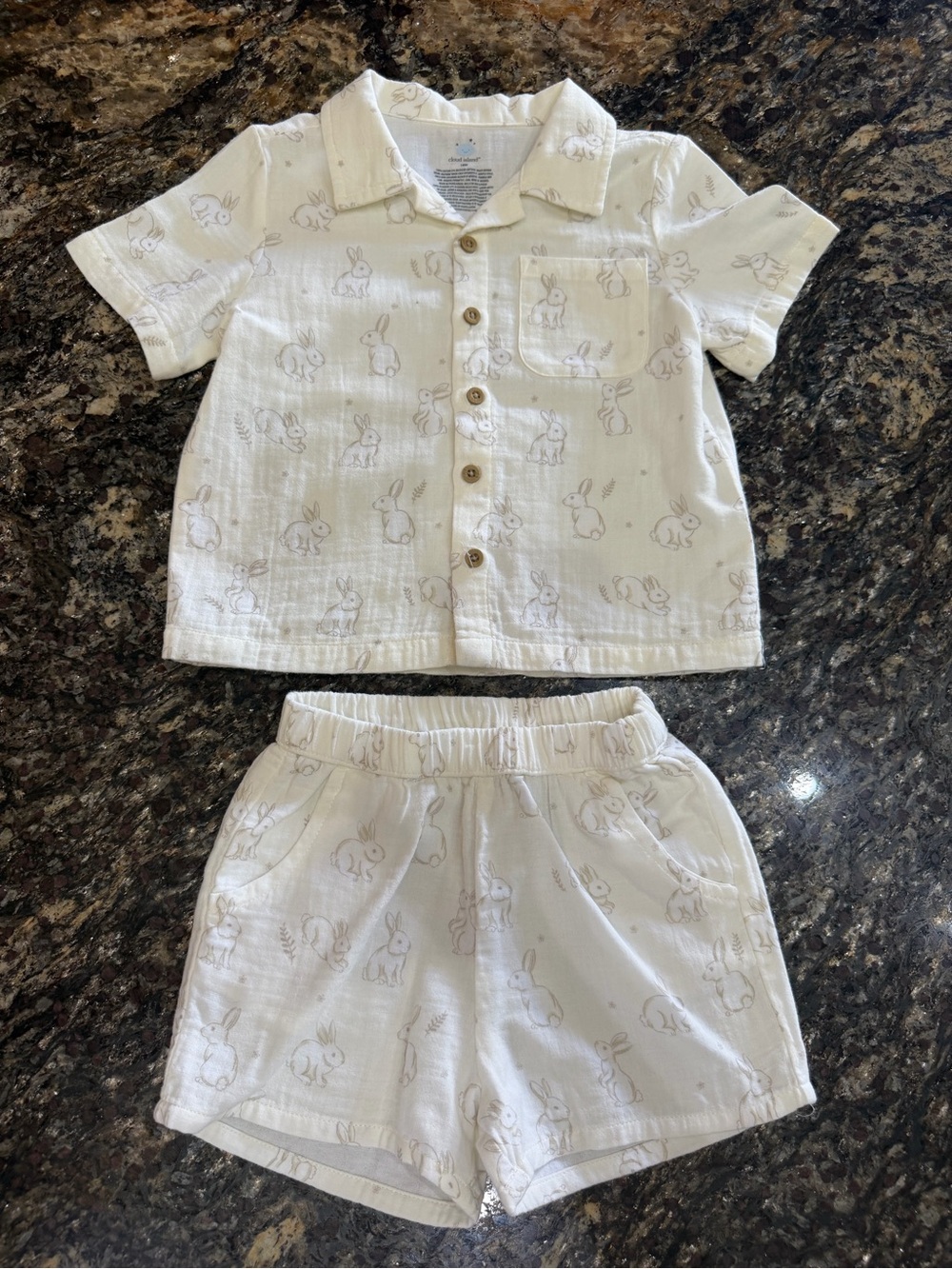 Cloud Island Boy Bunny Outfit Set 18 months
